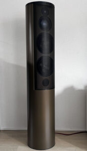 Voice-Victory-Supreme-speaker